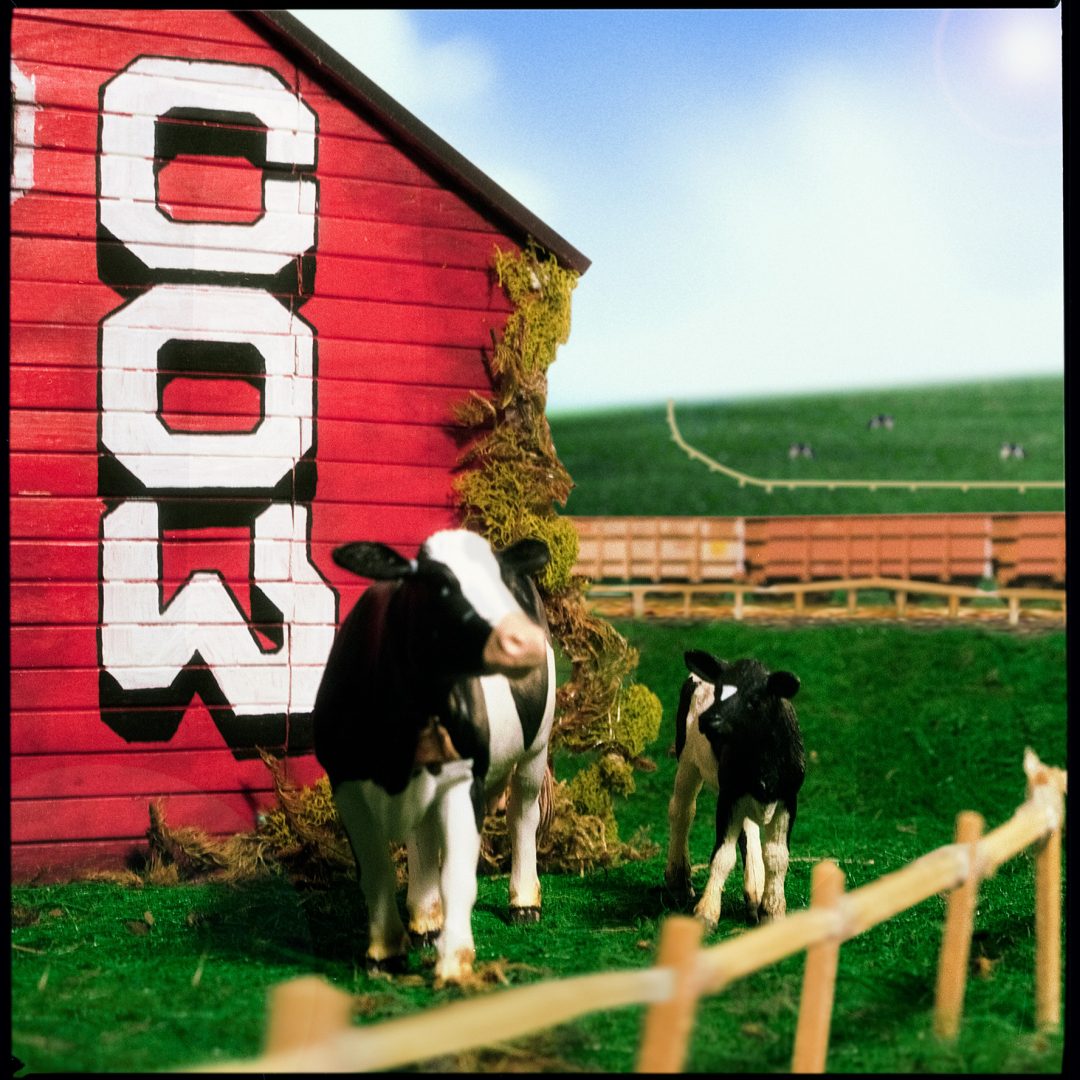 12-8-2025_08_v2_00000